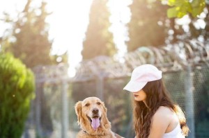 女性喜爱养什么狗？（以女性为主人的狗的品种选择指南）