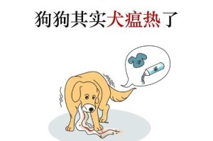 如何给狗狗测量体温？（简单实用的方法帮助您为狗狗测量体温）