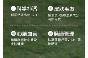 泰迪犬的干粮喂养时间与数量探究（科学合理地为泰迪选择干粮，让它健康快乐成长）
