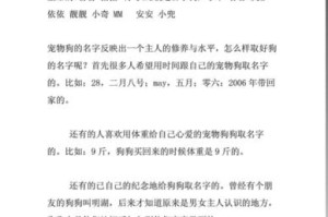 狗狗的名字之旅（探索最受欢迎的狗名和它们的意义）