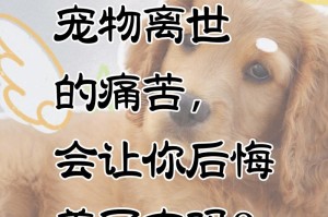 和狗共度一生的八个阶段（狗生命的不同阶段和如何陪伴它们）