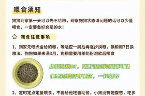 秋田犬饮食注意事项（合理的饮食规划与喂养频率）
