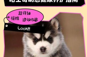 哈士奇长成成年体需要多久？（探索哈士奇的生长周期与变化）