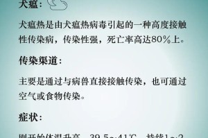 狗瘟过后多久可以养新狗？（合理的等待期能保障新狗健康）