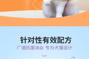 猫咪世界的白内障治疗法——保护你爱宠的视力（白内障治疗方法一览及术后注意事项）