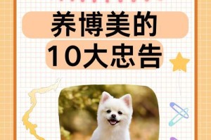博美犬的饮食指南（了解博美犬的食物需求，打造健康饮食习惯）