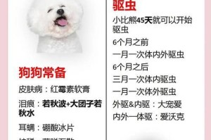 比熊多久会出现低血糖？（探索比熊低血糖的发生时间及预防方法）