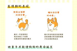 犬猫绝育手术的必要性（保护宠物健康、控制繁殖、减少流浪问题）