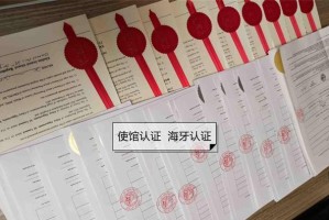 办理犬出生纸的时间周期及流程解析（犬出生纸办理流程及时间要求详解）