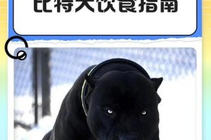 比特犬的发育时间究竟需要多久？（探索比特犬成长的奥秘和时间节点）