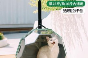 宠物用品种类大全（从食物到玩具，全面解读宠物用品市场）