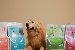 狗的怀孕周期及繁殖特点（从受孕到分娩，了解狗狗的生育过程）