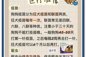金毛美容的技巧与方法（打造漂亮的金毛宝宝宠物爱好者必备的养护秘籍）