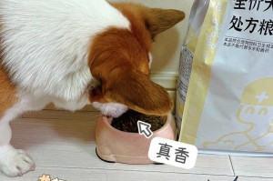 狗狗绝育后多久可以恢复正常饮食？（解答关于狗狗绝育后饮食的常见问题）
