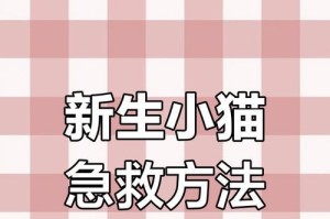 母猫产后多久会无奶？（了解母猫哺乳期的关键时刻）