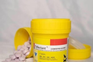 选择适合狗瘟消毒的方法（保护您的宠物免受狗瘟侵害）
