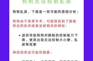 狗狗绝育时间（了解狗狗月经周期和绝育时间的关键因素）