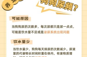 揭秘狗狗的冷知识（了解你的宠物伙伴）