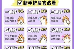 猫的保养服务——为你的爱猫提供专业照顾（全面保障猫咪健康幸福的宠物生活）