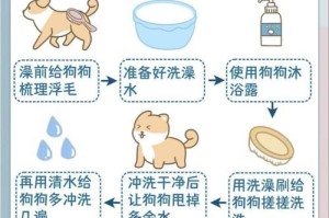 小狗洗澡的最佳时机及注意事项（保持宠物狗的清洁健康，关键时刻不容忽视）