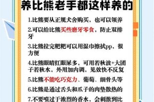比熊的美容频率与养护（了解比熊的美容需求，打造宠物的亮丽外表）