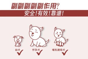 狗狗体内驱虫的最佳时机（科学合理的驱虫时间表，让爱宠远离寄生虫）