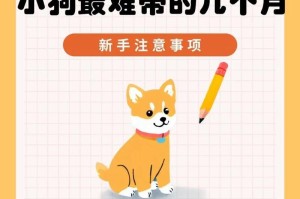 养狗需要注意的事项（细心呵护，享受美好的狗生活）
