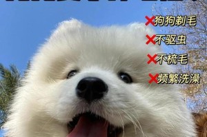 以驱虫狗多久可以剪毛（如何确定最佳剪毛时间？）