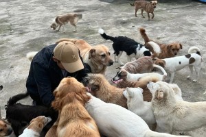 为小狗购买必备生活用品（打造舒适幸福的小狗生活）