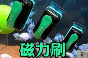 简单有效的鱼缸清洁方法（轻松保持鱼缸清洁的两种有效方法）