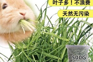 兔兔的理想干草食谱（了解兔兔吃的干草种类，做好它们的主食）