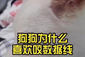 狗为什么会对孩子咬？（探寻狗对孩子咬的原因及预防方法）