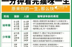 小猫的奔跑之路（探索小猫成长过程中的奇妙世界）