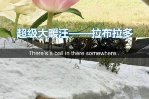 狗狗大半夜对门狂叫的预兆（探究狗狗夜晚狂叫的原因及解决方法）