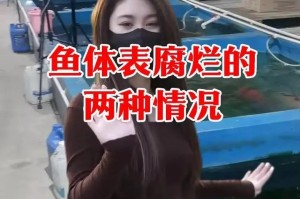 观赏鱼拒食及解决方法（观赏鱼拒食的原因和有效的喂养技巧）