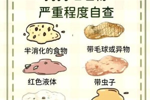 揭秘狗狗胃溃疡的严重症状（了解胃溃疡，保护我们的宠物健康）