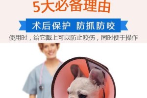 狗狗戴伊丽莎白圈需要多久？（正确使用伊丽莎白圈是保护狗狗健康的关键）
