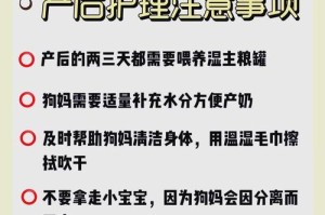 狗狗疫苗接种时间表与必要性剖析（探索以母狗生完狗狗多久开始接种疫苗，保护宝贝的关键）