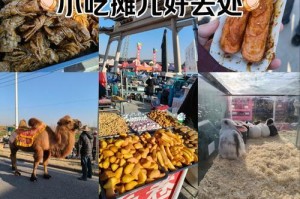 重庆的狗市风情（探访重庆的狗市，品味不一样的狗文化）