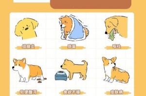 狗狗拉稀的原因与处理方法（常见拉稀原因及相应应对措施）