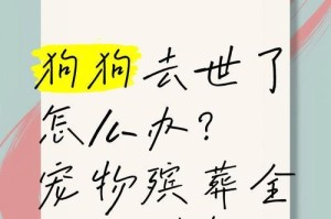 宠物去世后如何走出悲伤？（面对失去的伴侣，如何重新找回快乐？）