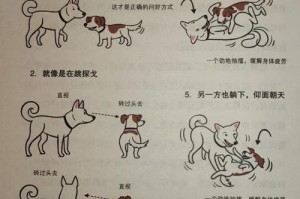 狗随行训练（时间成效与关键训练要点）