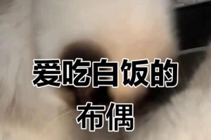 小猫饮食（小猫米饭的适宜时机、注意事项及相关建议）