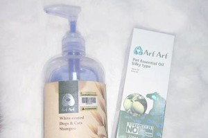 狗狗身上可以使用的精油及其功效（探索适用于狗狗的精油，提供安全有效的护理方法）