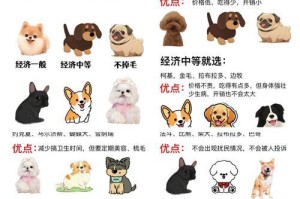 狗狗的排便频率与健康关系密切（掌握宠物排便规律，科学调节饮食，关爱狗狗健康）