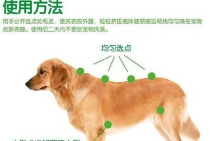以驱虫为主题的文章（了解驱虫的重要性及方法）