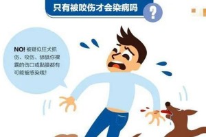 狂犬病狗的症状及预防措施（识别狂犬病狗的关键症状，保护你和你的家人的安全）