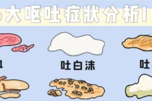 猫头呕吐的原因及情况分析（揭开猫头呕吐背后的秘密——常见原因及处理方法）