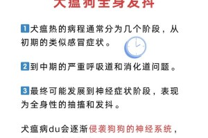边牧患犬瘟症状及其防治措施（详解边牧患犬瘟的常见症状和预防方法）