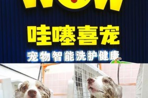 如何给狗狗洗澡？（选择合适的工具让洗澡变得简单轻松）